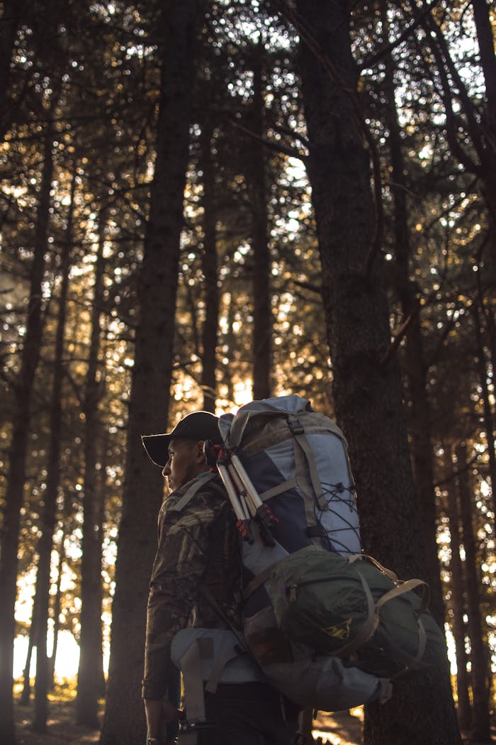 Man with a large backpack walks through a sunlit forest in Algeria, embracing adventure and nature.